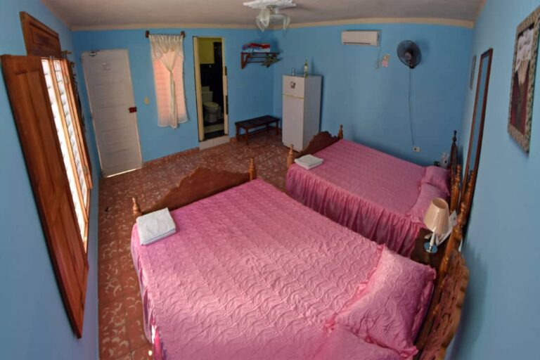 IMG 20240721 WA01001 768x512