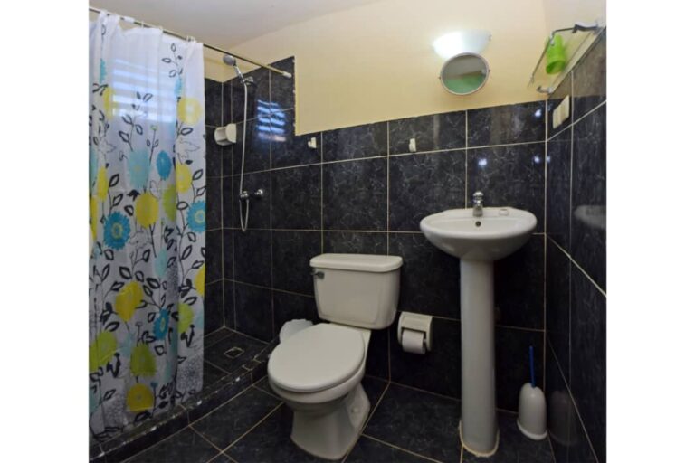 IMG 20240721 WA01011 768x512