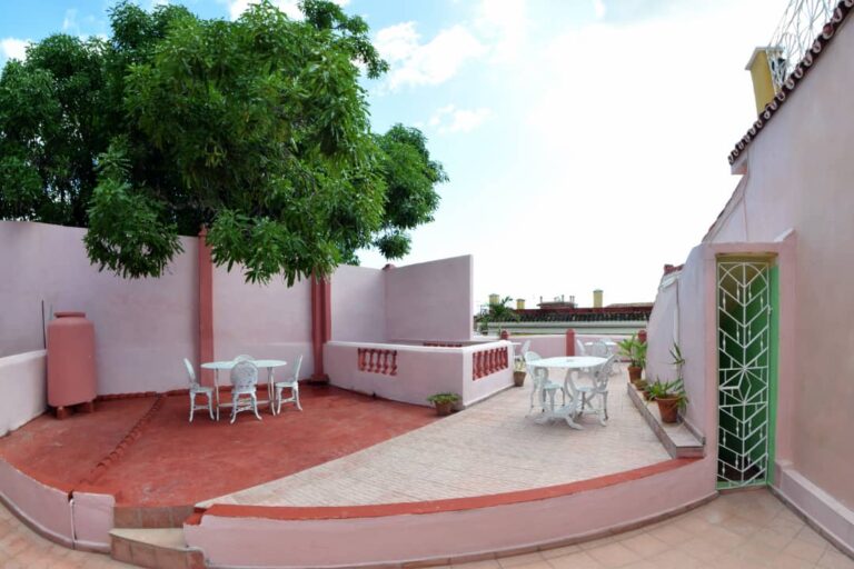 IMG 20240721 WA01021 768x512