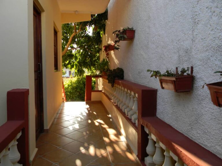 IMG 20240802 WA00521 768x576