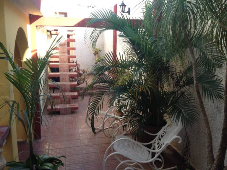 IMG 20240802 WA00531 768x576