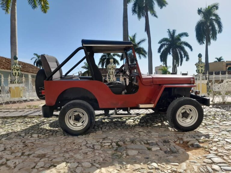 IMG 20241108 WA00251 768x576