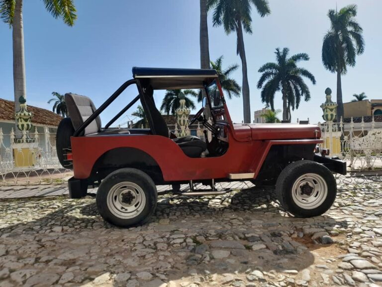 IMG 20241108 WA00271 768x576