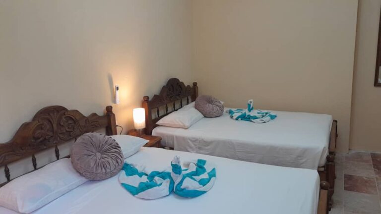 IMG 20241108 WA00421 768x432