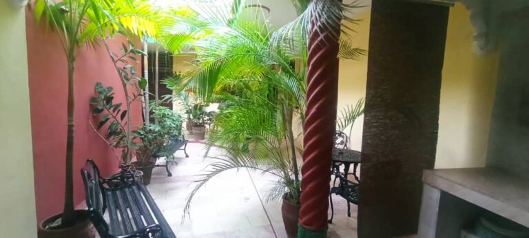 IMG 20240721 WA00772 768x346