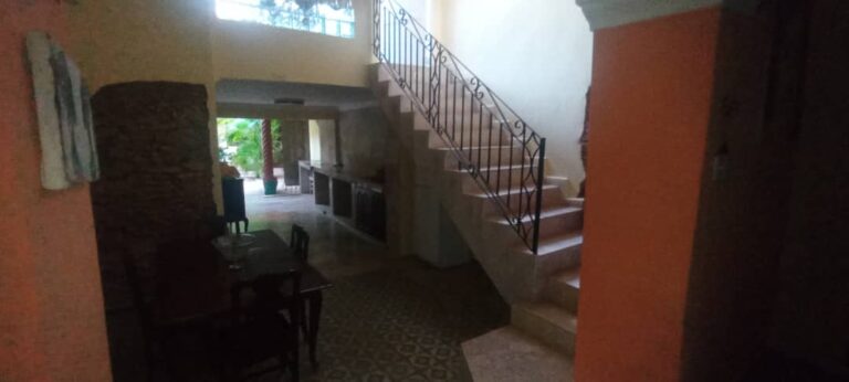 IMG 20240721 WA00801 768x346