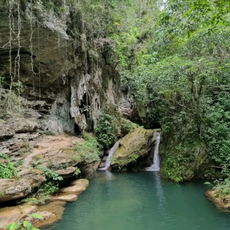 1712494195011 768x768