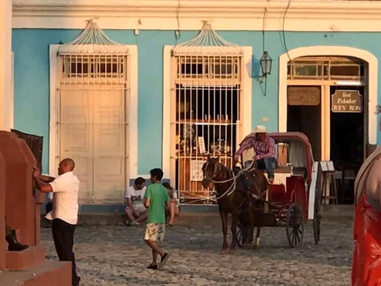 1734120892290 768x576