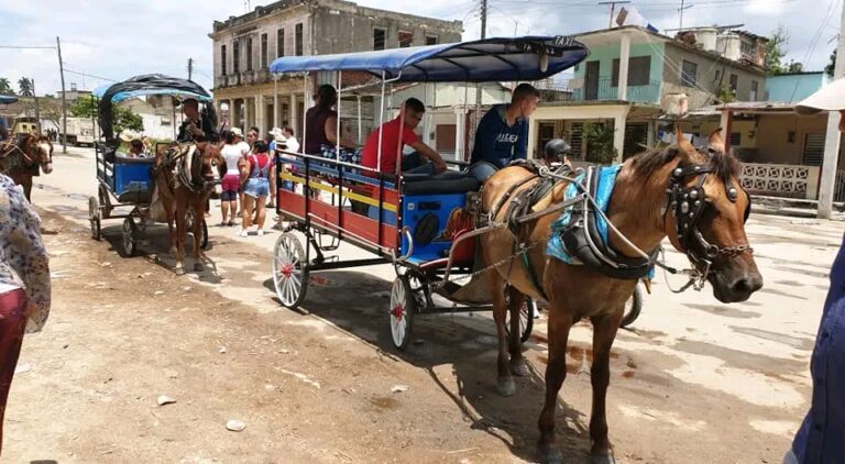 1734121045314 768x422