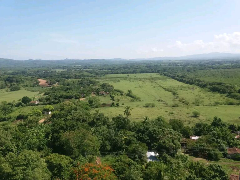 1737056789771 768x576