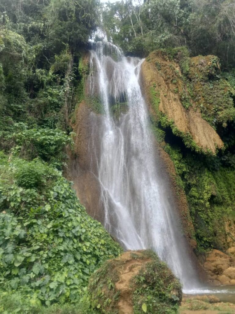 IMG 20240416 WA0007 768x1025