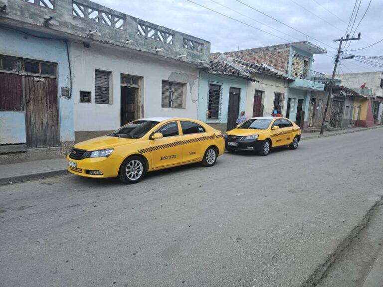 IMG 20241223 WA0006 768x576